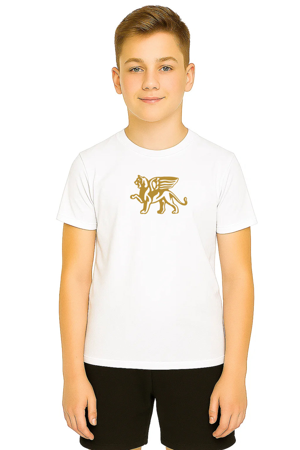 Boys Comfort Gold Lion Tee KOURTLY by Loriet Sports